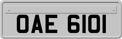 OAE6101