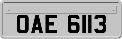 OAE6113