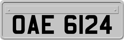 OAE6124