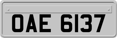 OAE6137