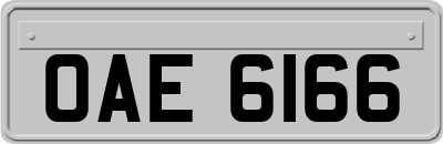 OAE6166