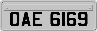 OAE6169