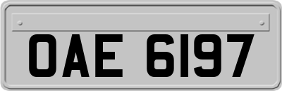 OAE6197