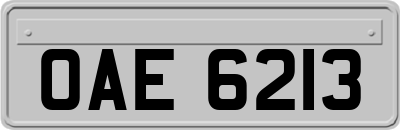 OAE6213