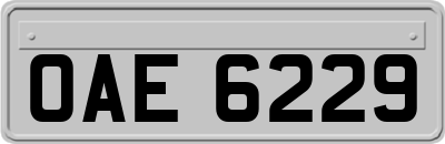 OAE6229