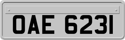 OAE6231