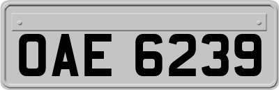 OAE6239