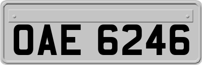 OAE6246