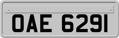 OAE6291