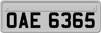 OAE6365