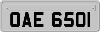 OAE6501