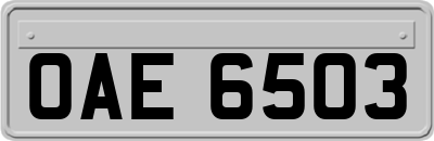 OAE6503