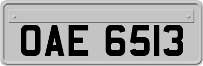 OAE6513