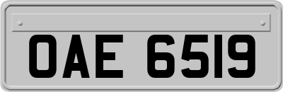 OAE6519