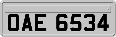 OAE6534