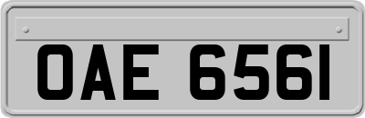 OAE6561