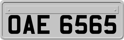 OAE6565