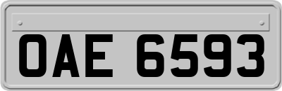 OAE6593