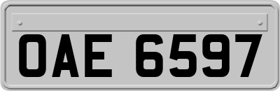 OAE6597