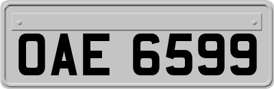 OAE6599