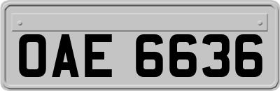 OAE6636