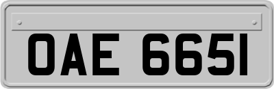 OAE6651
