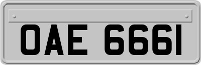 OAE6661