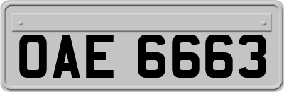 OAE6663