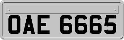 OAE6665