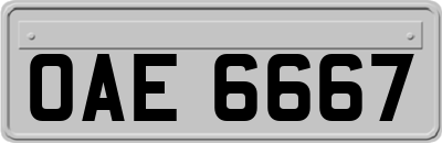 OAE6667