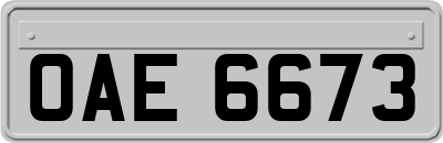 OAE6673