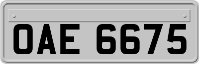 OAE6675