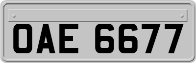 OAE6677