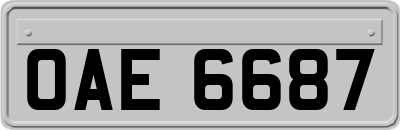 OAE6687