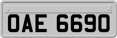 OAE6690