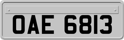 OAE6813