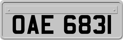 OAE6831