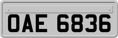 OAE6836