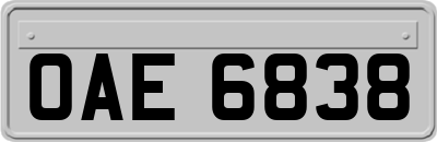 OAE6838