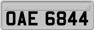 OAE6844