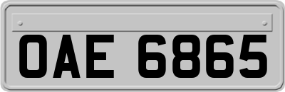OAE6865