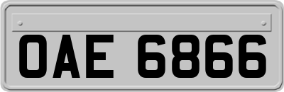 OAE6866