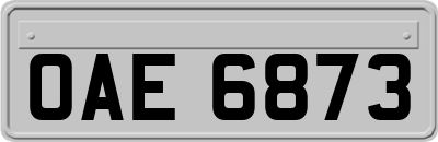 OAE6873