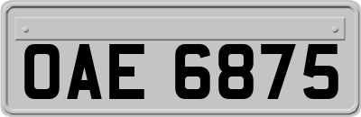 OAE6875
