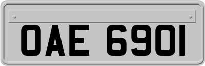 OAE6901