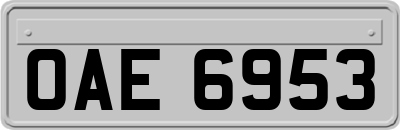 OAE6953