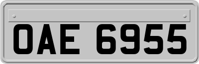 OAE6955