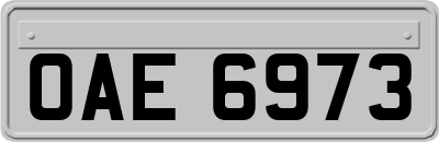 OAE6973