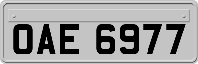 OAE6977