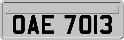 OAE7013